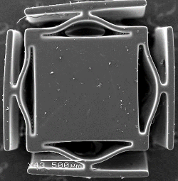 Micro-scale inclusion